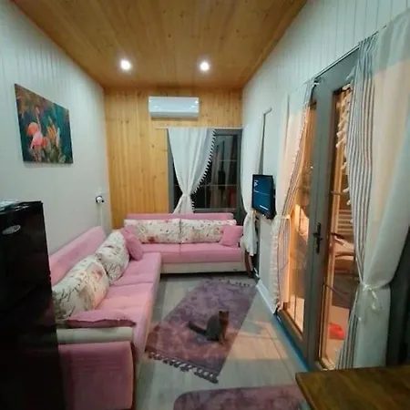 Moonlight Tiny House Holiday home